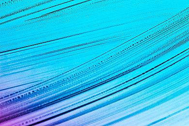 寻爱于世界末日，恋爱动作游戏《永夜》现已发售